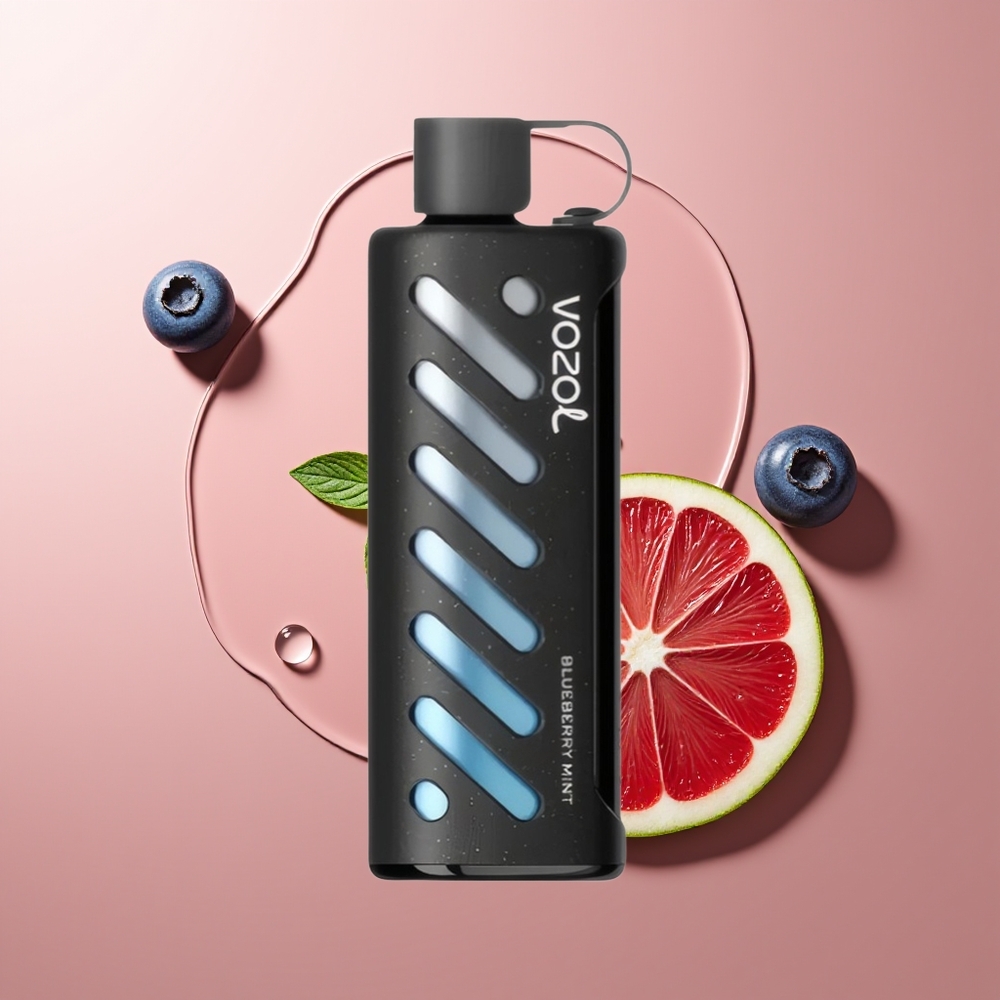 VOZOL Gear Shisha 25000 Puffs Mustikas-Mündi Kahekordne Võrk