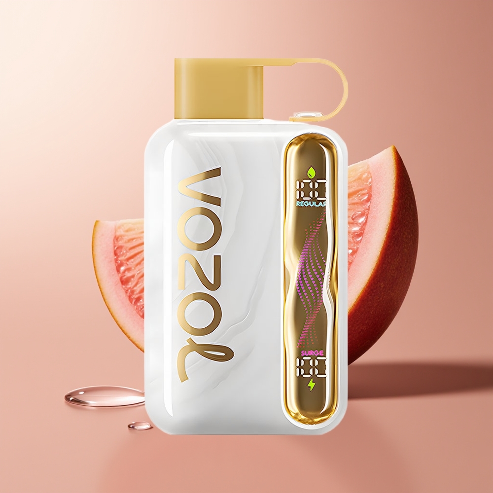VOZOL STAR 40000 SÜGADE MELONIGUM 1000mAh TÜÜP-C