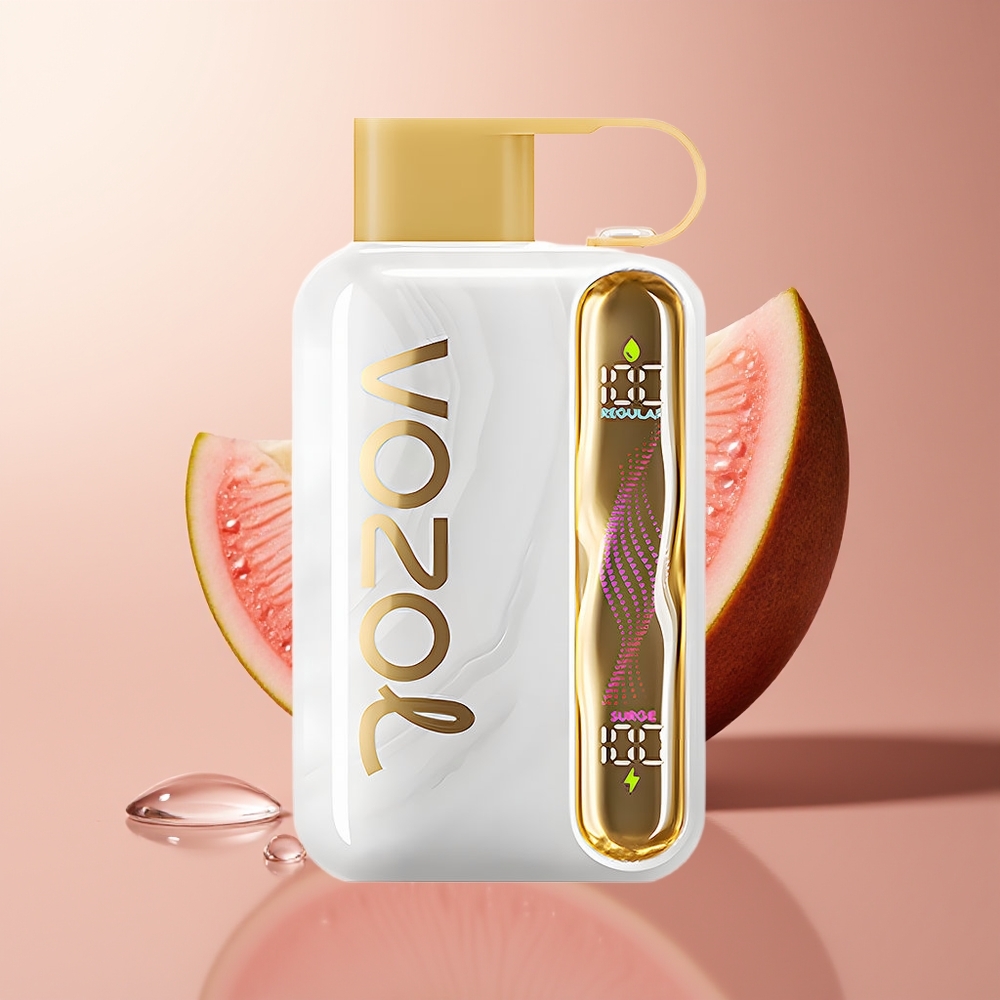 VOZOL STAR 40000 SÜGAVUS MELONIJÄÄ 1000mAh TÜÜP-C